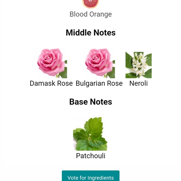 Miss Dior - Picture 10 of 10